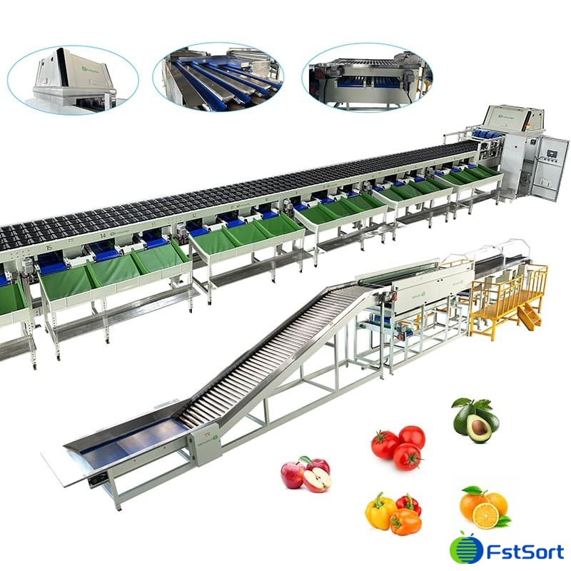 images/1678775628665bell pepper grading machine.jpg